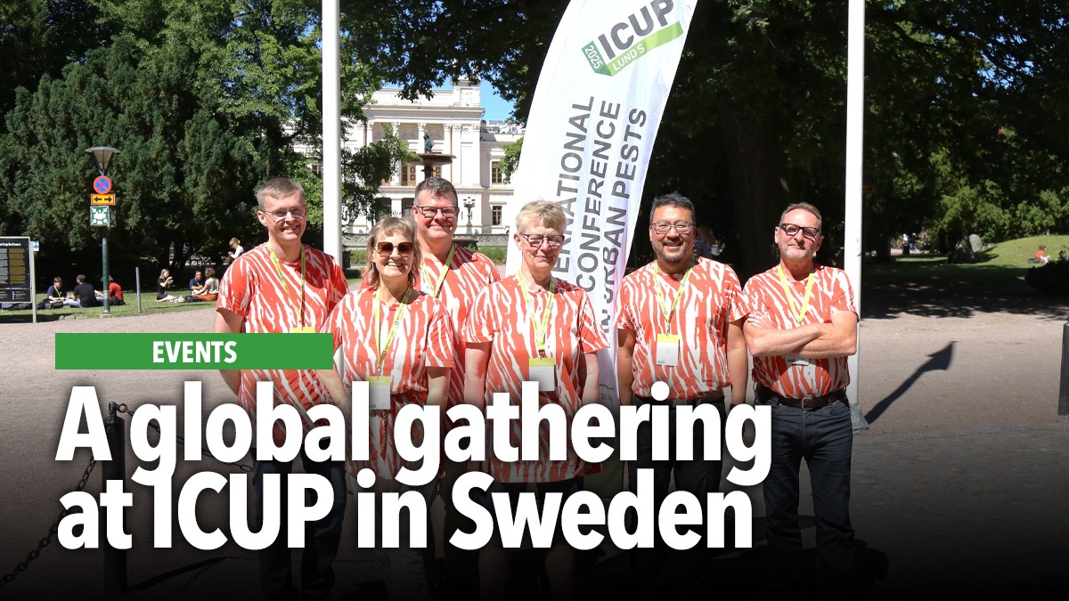 global-gathering-at-icup-in-sweden-hero2 global-gathering-at-icup-in-sweden-hero2